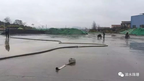 拆鍋爐、抑揚塵、禁焚燒 珠珊鎮大氣污染防治成效顯著，合同能源管理助力綠色發展