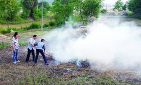 禁止焚燒秸稈，推動大氣污染治理，守護生活環境